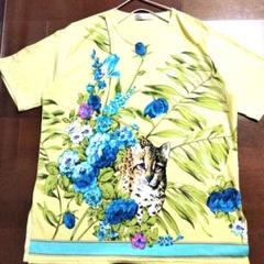 ✨極美品✨レオナール レオパード花柄 シフォン×カンカン切替トップス トリム L Yahoo!オークション - 新品同様 LEONARD レオナール カンカン 花