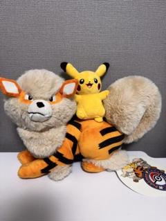 オキナワ ポケモンセンター限定 ウィンディ ピカチュウ - メルカリ