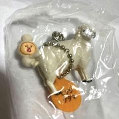 Amazon.co.jp: ipi29KZこびとづかんけだまさん発見マスコット