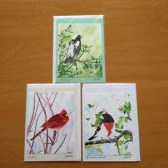 鳥類イラストカード 52枚セット 67d6e6e8c6ca9be90338b96ada2a5e