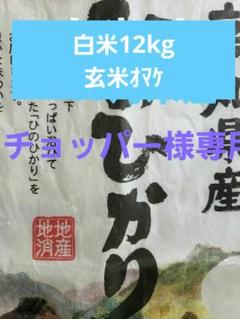 ヒノヒカリ白米12kg仁井田米 コシヒカリ玄米200gオマケ付