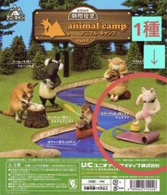 朝隈俊男　2008年 BLUESY ANIMALS特別版 ブルテリア 2025年最新】朝隈俊男 ブルテリアの人気アイテム - メルカリ