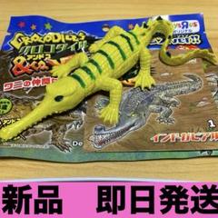 【新品未開封12袋】新商品 クロコダイルアンドコー　CROCODILES&co 新品未開封】クロコダイル＆co. モレレットワニ - メルカリ
