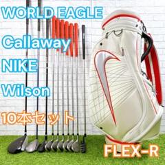 メンズ ゴルフセット 10本 FLEX-R ワールドイーグル キャロウェイ