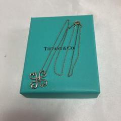 リアル さち様専用★Pt850・SV★TIFFANY&Co.★ペンダントネックレス - ネックレス