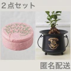 Salut! ハリーポッター 脚付き収納スツール ホグワーツ アンティークミラー 脚付き収納スツール／Harry Potter×salut! | salut!(サリュ