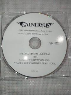 GALNERYUS 非売品 ライブ会場限定配布 DVD GALNERYUS 非売品 ライブ会場限定配布 DVD - メルカリ