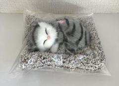 2025年最新】ぬいぐるみ 猫 鳴くの人気アイテム - メルカリ