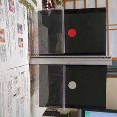 パ―フェクト ヒッピーホップラビット ミニタイプ