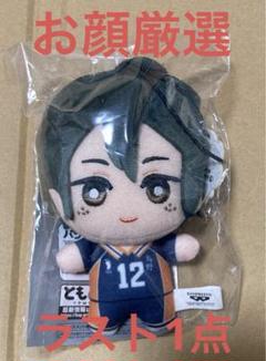 月島　山口　ちみっともぬい　ハイキュー　マスコット　ぬいぐるみ　サンリオ　蛍　忠 ハイキュー サンリオ ちみっともぬい 月島蛍 山口忠