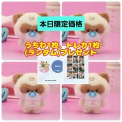 zeroni HOME PARTY　 ビニニ　4点セット ベビーぬいぐるみ zeroni ベビーぬいぐるみ(HOME PARTY) binini – LINE FRIENDS
