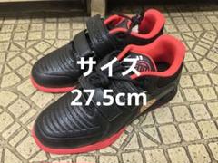 LUXIAOJUN ウエイトリフティングシューズ スクワット ロマレオス