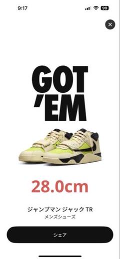 ジャンプマン ジャック TR メンズシューズ　28.5センチ JORDAN BRAND JUMPMAN JACK TR MUSLIN/BLACK-BRIGHT CACTUS