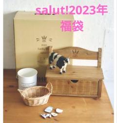 サリュ Salut!★新品★2022年福袋★おうち 抜き取り無し 激レア 限定品 サリュ Salut! 新品 2022年福袋 おうち 抜き取り無し 激レア