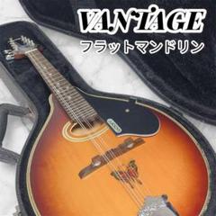 フラットマンドリン VANTAGE VM6 ＋ハードケース＋木製スタンド スーパーライト マンドリンケース エレガンス2トーン | イケガク