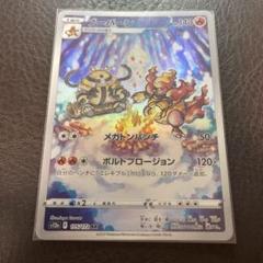 AR ブーバーン　42枚セット　ポケモンカード 2025年最新】ブーバーンarの人気アイテム - メルカリ