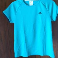 adidas ターコイズ青緑 Tシャツ J L