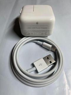 Appleアップル純正品 iPad充電器セット