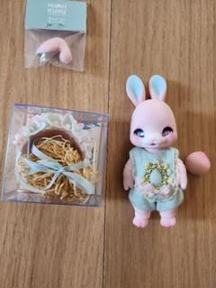 kumukuku初回受注のご案内 | risubaco