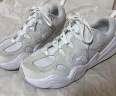 お値下げ　美品　NIKEテックヘラ24.5 2025年最新】テックヘラ 24.5の人気アイテム - メルカリ