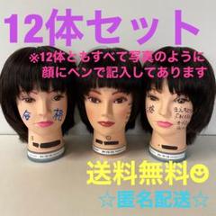 【新品未開封】カットウィッグ 国家試験用 3体セット 国家試験 カットウィッグ 練習用 3体まとめ売り