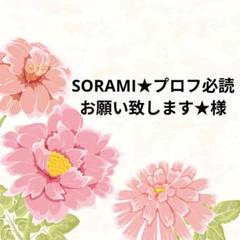 SORAMI☆プロフ必読お願い致します☆様 専用ページ - メルカリ