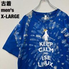 古着 ネクストレベルアパレル Tシャツ タイダイ ブリーチ メンズ 青 XL