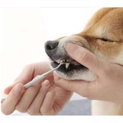 【犬猫用】歯石取り スケーラー かわいい 愛犬 愛猫