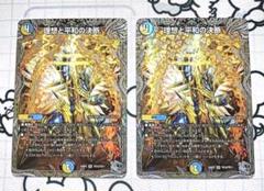チ*ん様 【引退品】引退品セット　ペテンシー・Hアルカディア チ*ん様 【引退品】引退品セットペテンシー・Hアルカディア