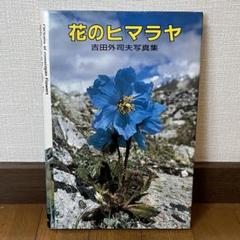 大型本　THE HIMALAYAS　ネパール・ヒマラヤの高峰　藤田弘基 撮影 大型本 THE HIMALAYAS ネパール・ヒマラヤの高峰 藤田弘基 撮影