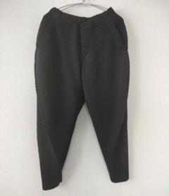 2025年最新】homme plisse issey miyake プリーツパンツ