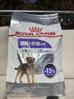 ロイヤルカナン　ミニステアライズド　　　　8キロ Amazon.co.jp: ロイヤルカナン CCN ミニステアライズド 8kg