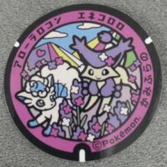 2025年最新】ポケふた 北海道の人気アイテム - メルカリ