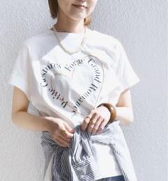 美品　SHIPSバリエーション ロゴ 刺繍 プリントTEEのサムネイル