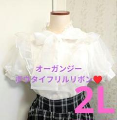 2L　病みかわゆめかオーガンジーフリルリボンブラウス白量産型地雷系ゴスロリ