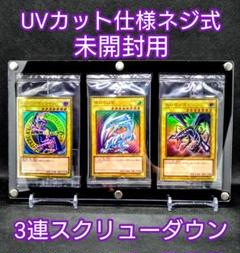 ポケモンカード シロナ アクリルフレーム スクリューダウン 新品