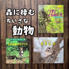 森に棲む小さな動物　ももんが　りす　かがくのとも　サンチャイルドビッグサイエンス