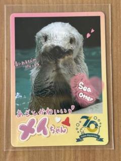 バラ売りOK 鳥羽水族館 コレクションカード メイちゃん 鳥羽水族館 コレクションカード とレカ メイちゃん ラッコ