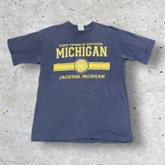 90s フルーツオブザルーム ミシガン大学 カレッジTシャツ シングルステッチ