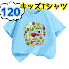 Tシャツ　120 　キッズ　半袖　ひみつのおるすばん　子供　ロブロックス　水色