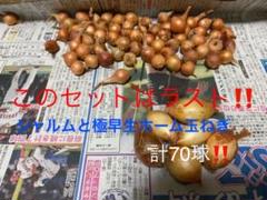 ホーム玉ねぎ