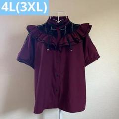 avail アベイル リボン フリル ブラウス majoretty