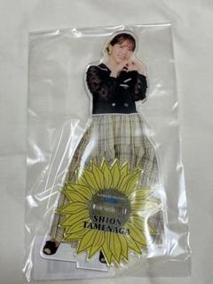 2025年最新】佐々木莉佳子 アクリルの人気アイテム - メルカリ