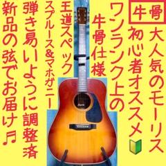 2025年最新】morris MD-502の人気アイテム - メルカリ