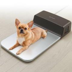 SHARP PL-PT40D-T ペット用冷暖プレート　ヒーター　クーラー PL-PT40D | ペット用冷暖プレート：シャープ