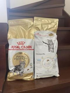  CANIN アメショー 2kg ×2 + CIAOちゅ〜る ROYAL CANIN アメショー 2kg ×2 + CIAOちゅ〜る - メルカリ