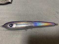 ダイブベイト 270 ピンク ローカルスタンダード G575 Amazon.co.jp: ダイブベイト 270 ピンク ローカルスタンダード