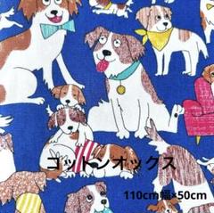 新品・未使用｜コーイケルホンディエ柄|コットンオックス|デコピン柄|50cm