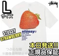 STUSSY ストロベリー Tシャツ Lサイズ
