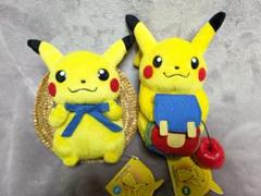 週末限定ンセール ポケモンセンター限定 2003 セット マンスリーピカチュウ ぬいぐるみ